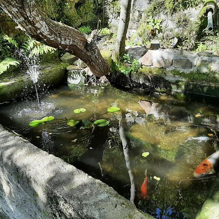 Chambre Boheme Au Domaine De Fangorn Glux-en-Glenne ภายนอก รูปภาพ