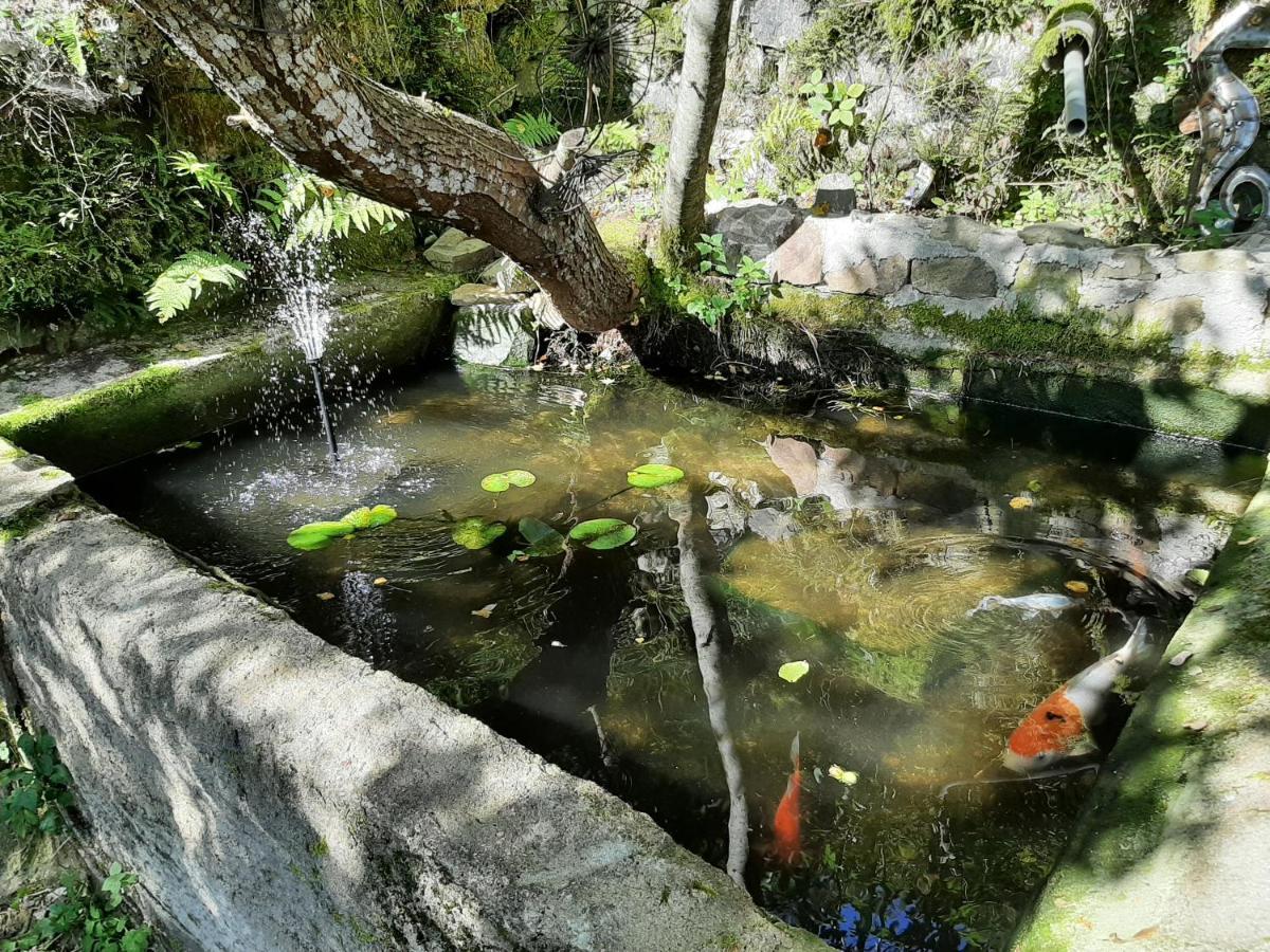Chambre Boheme Au Domaine De Fangorn Glux-en-Glenne ภายนอก รูปภาพ
